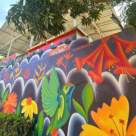 Casa Colibri Palomino Otel Dış mekan fotoğraf