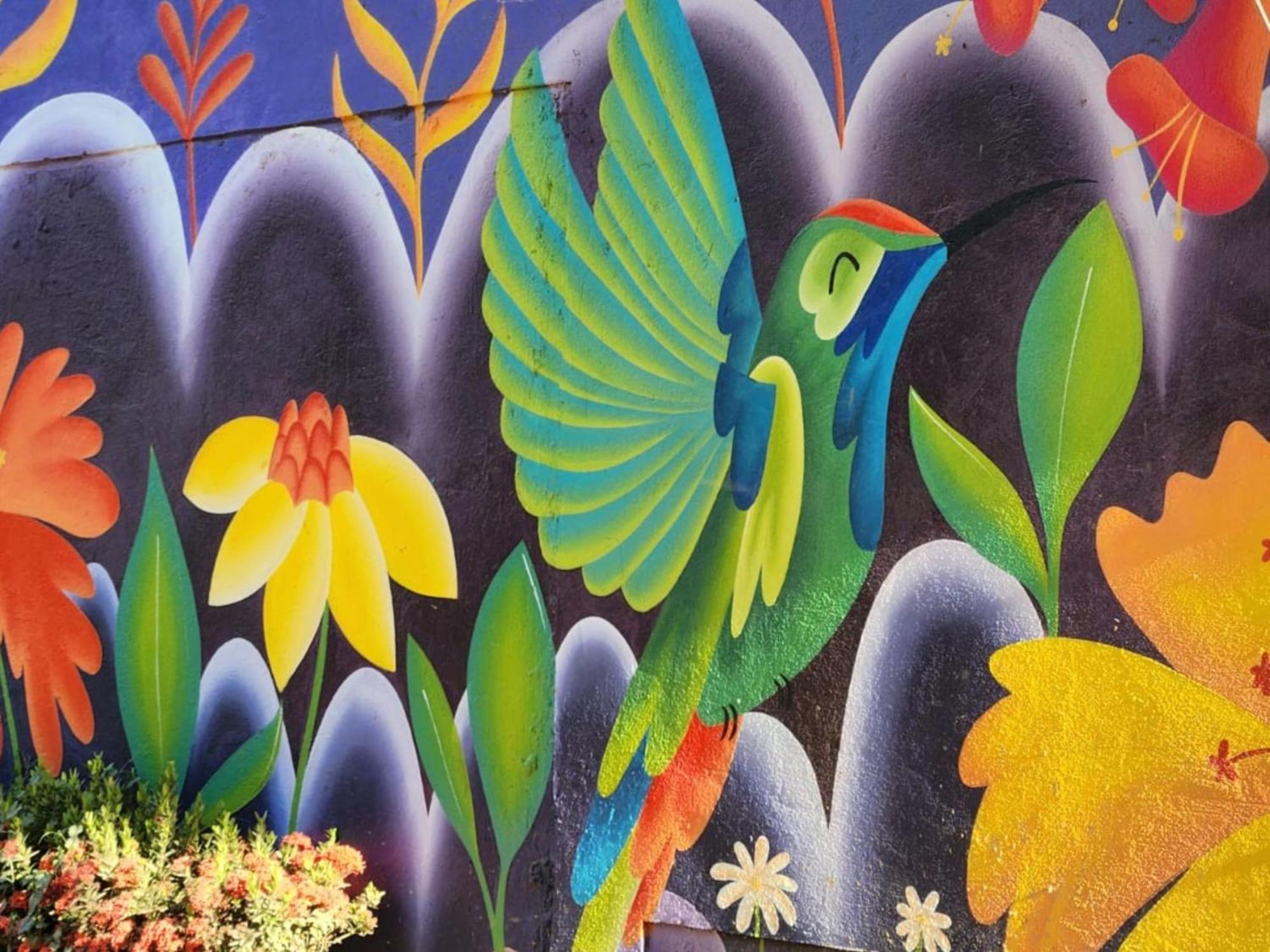 Casa Colibri Palomino Otel Dış mekan fotoğraf