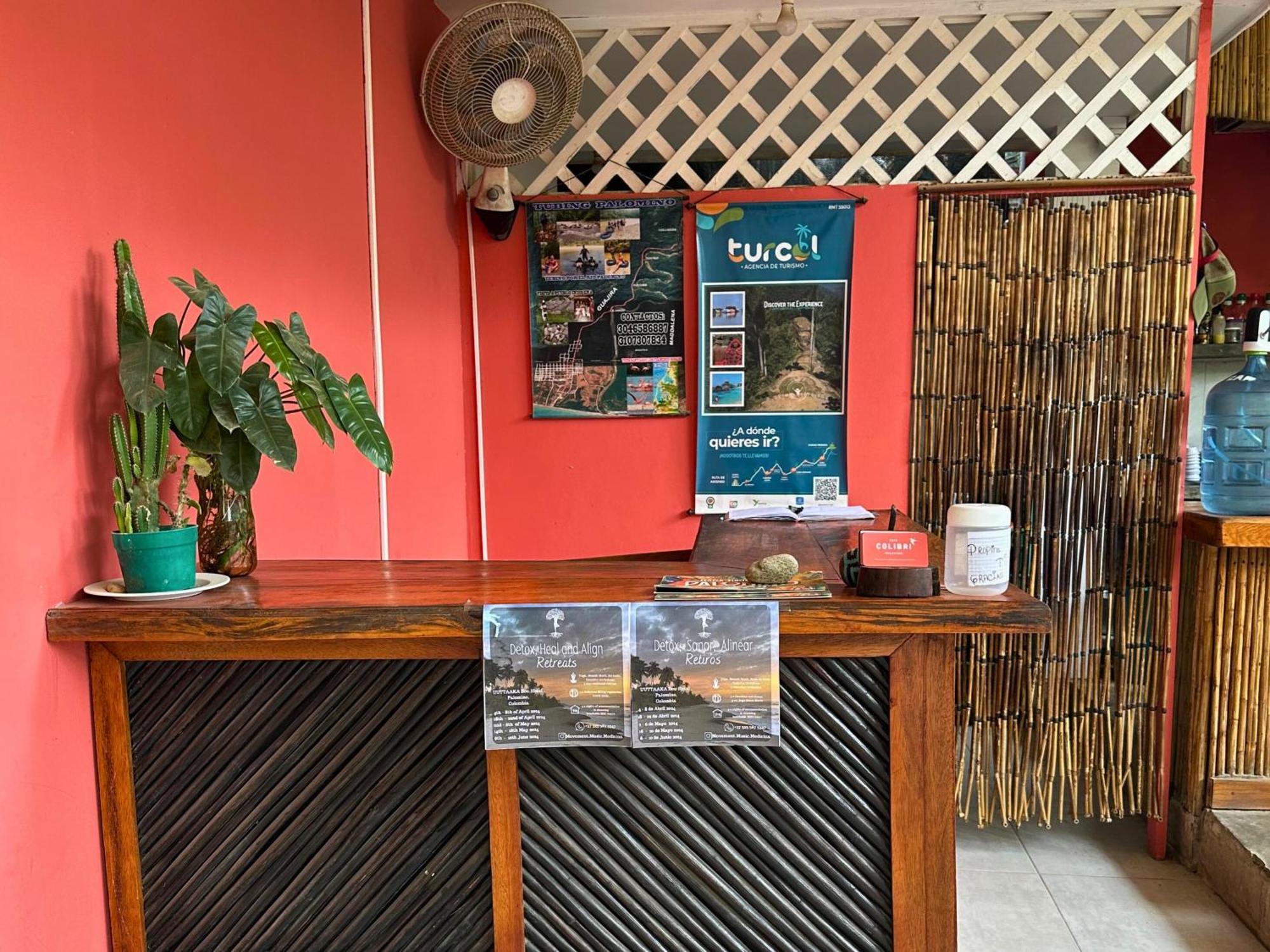 Casa Colibri Palomino Otel Dış mekan fotoğraf