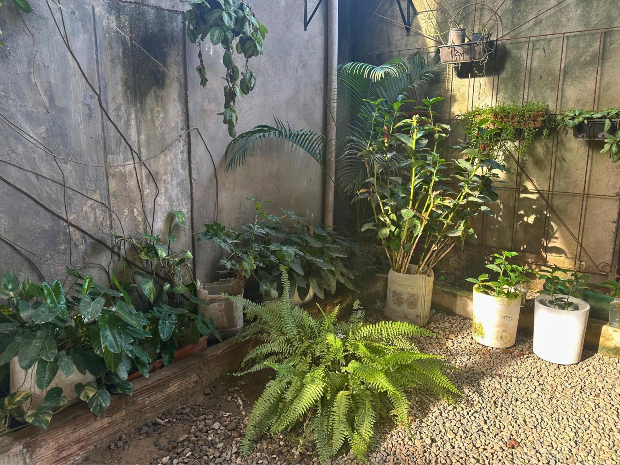 Casa Colibri Palomino Otel Dış mekan fotoğraf